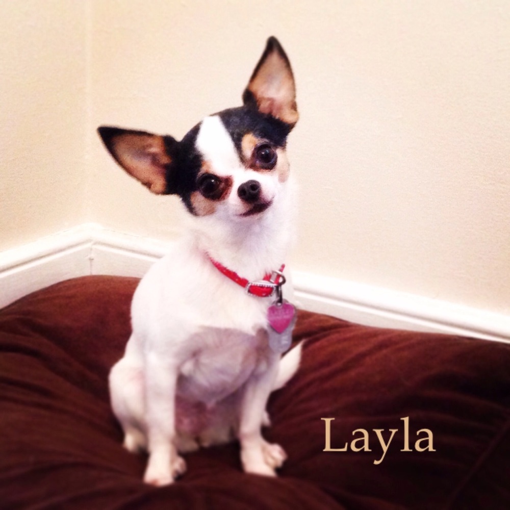 Meet your Posher, Allison